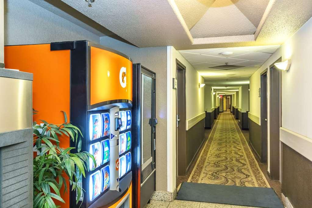 Quality Inn & Suites Yorkton Létesítmények fotó